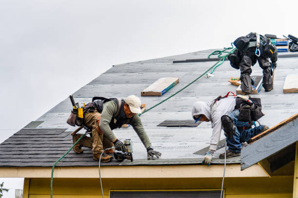 Professional Roofing technician working in Garland, UT
